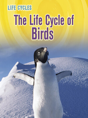 cover image of The Life Cycle of Birds